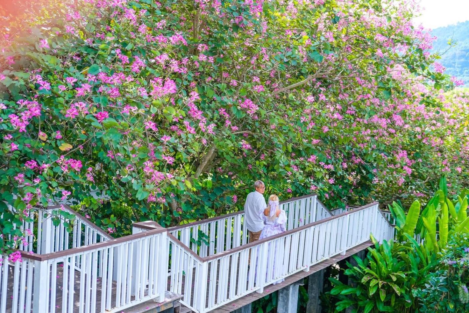 Hotel Vivace Khaoyai 4*