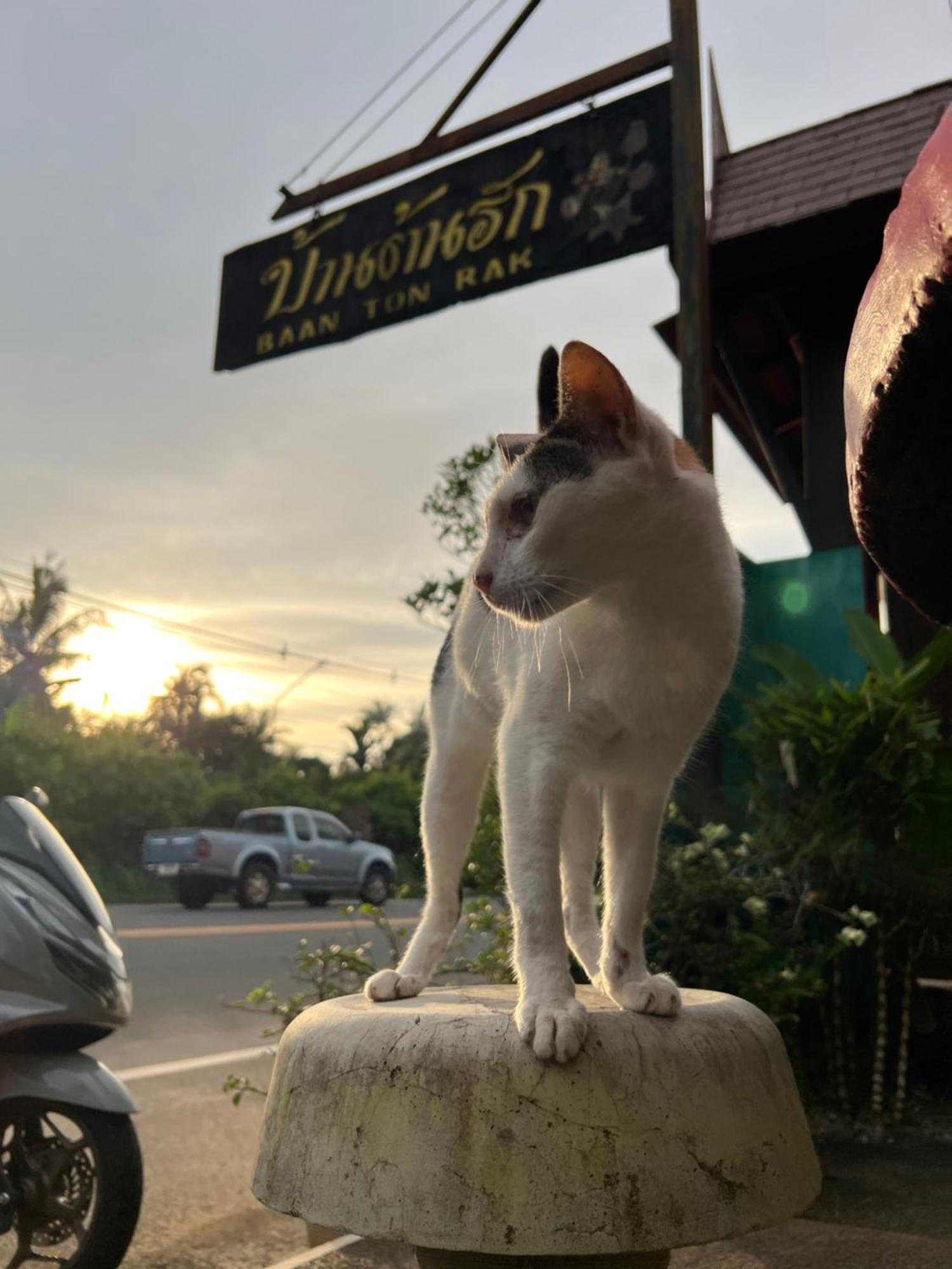 Hotel Baan Ton Rak Boutique Koh Chang