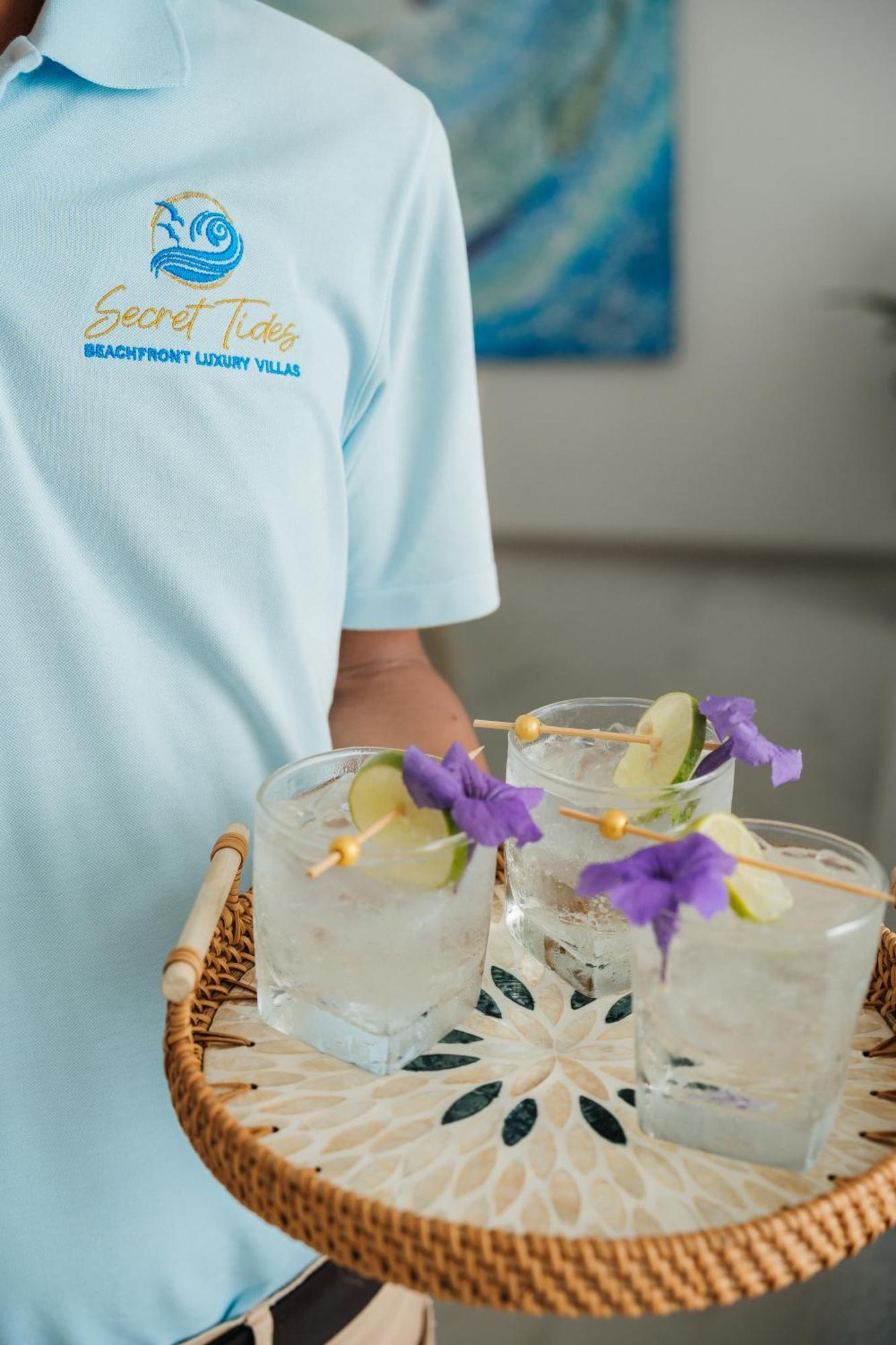 Beachfront Secret Tides Tierra Villa
