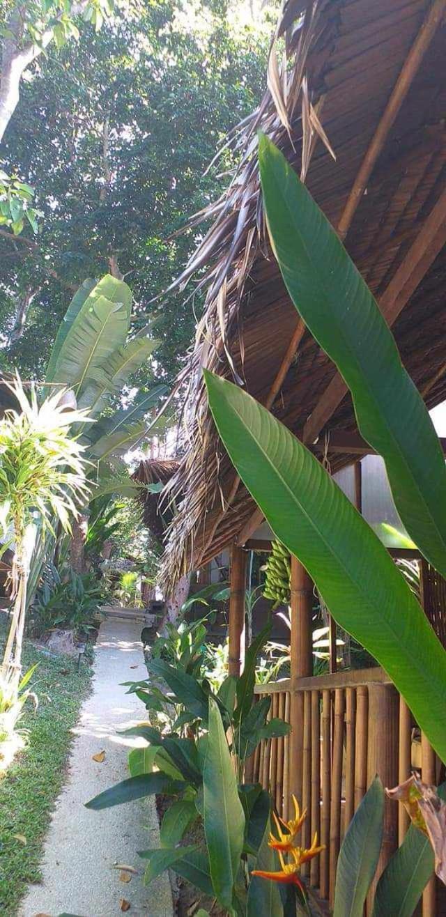 Bonus Resort