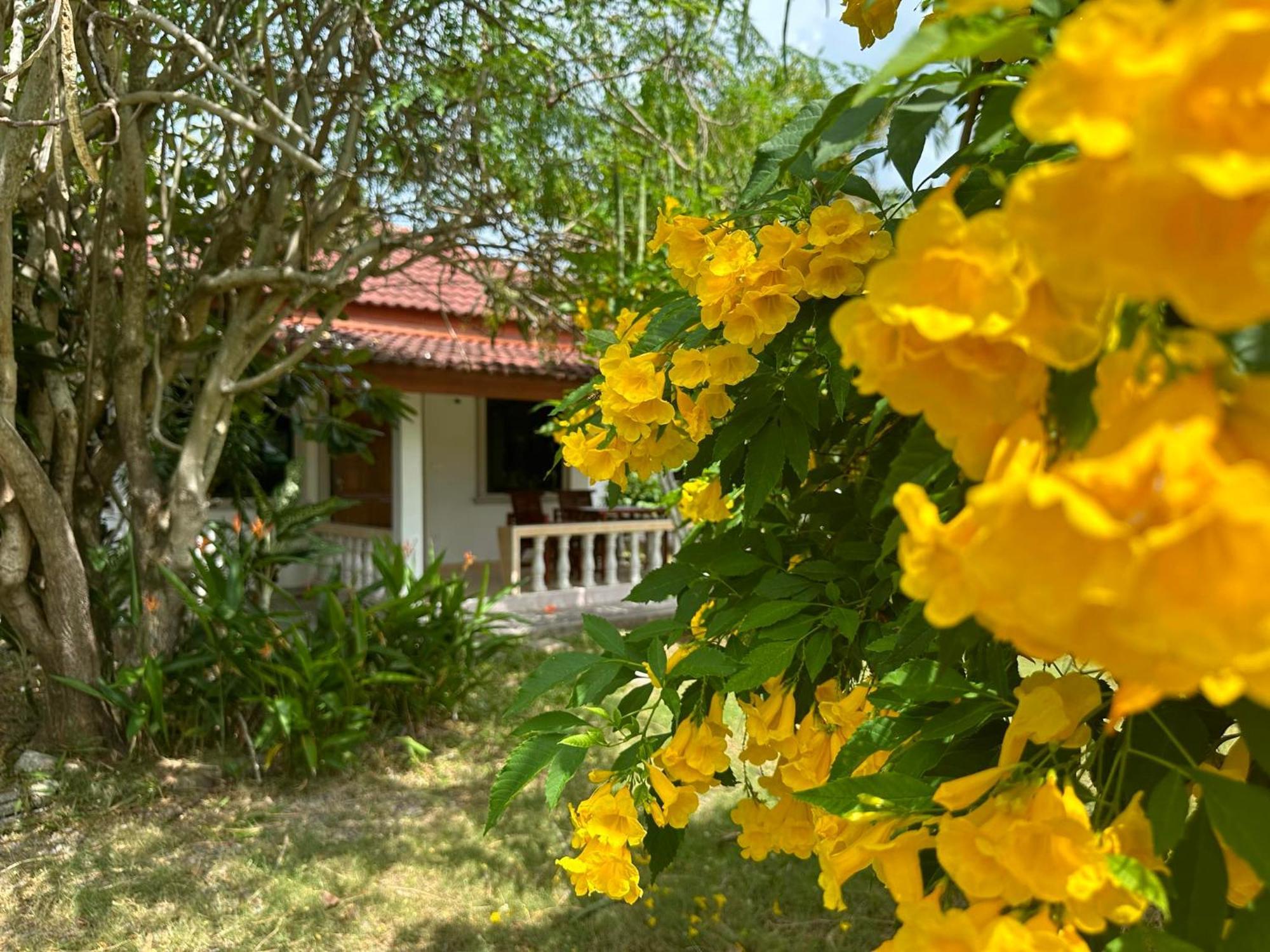 Samui Garden Homestay