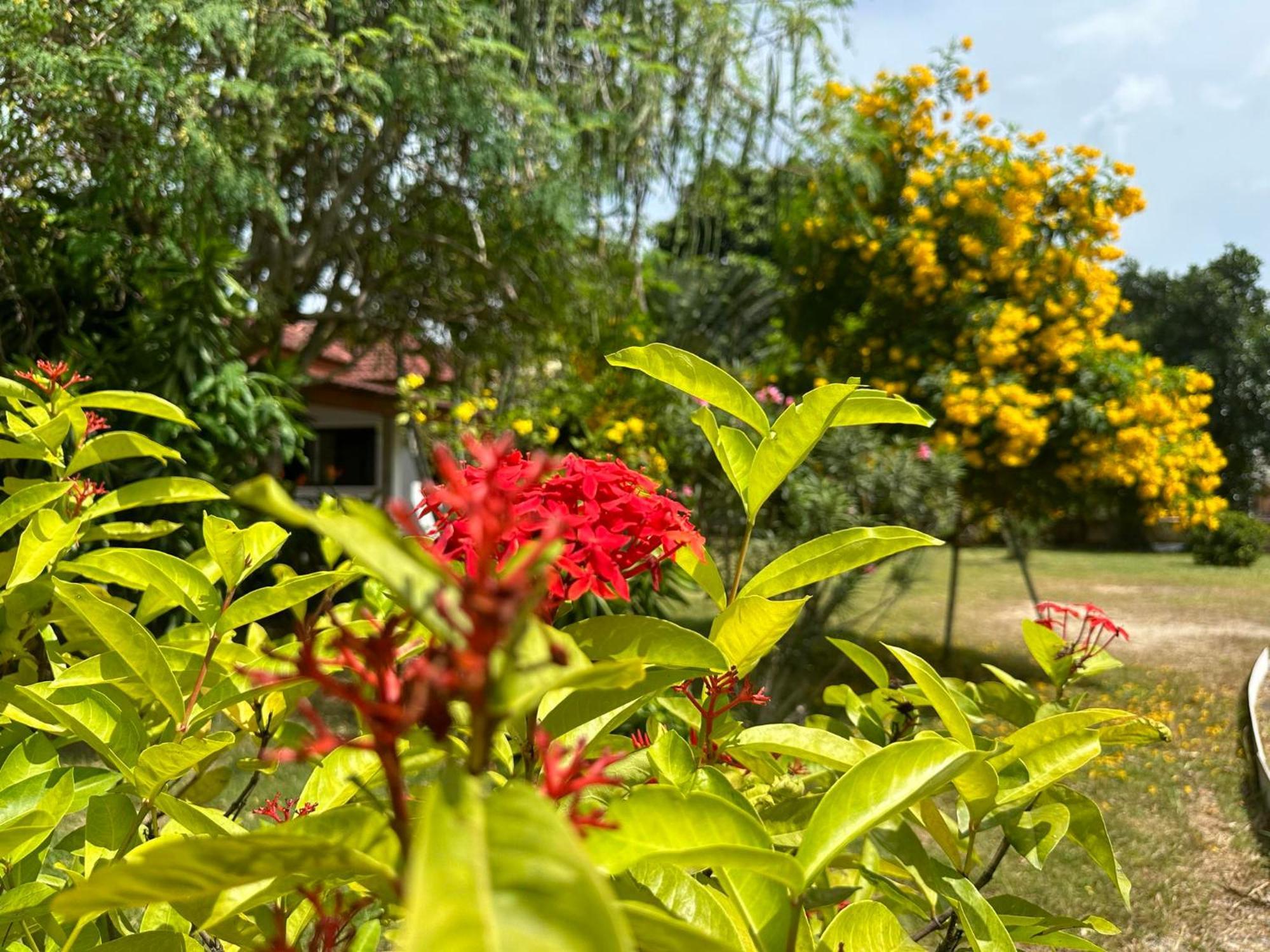 Samui Garden Homestay *