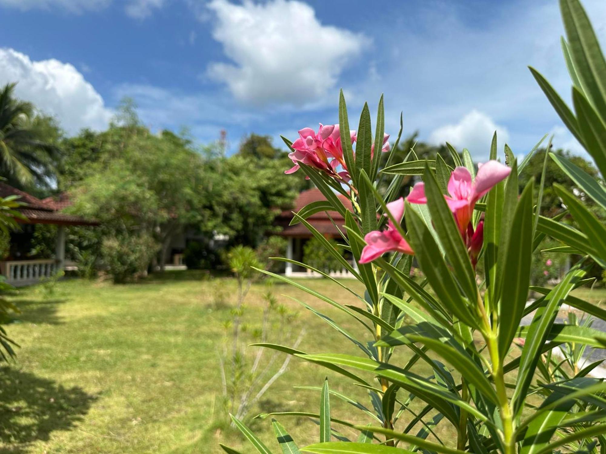 Samui Garden Homestay Bang Rak Beach (Koh Samui)