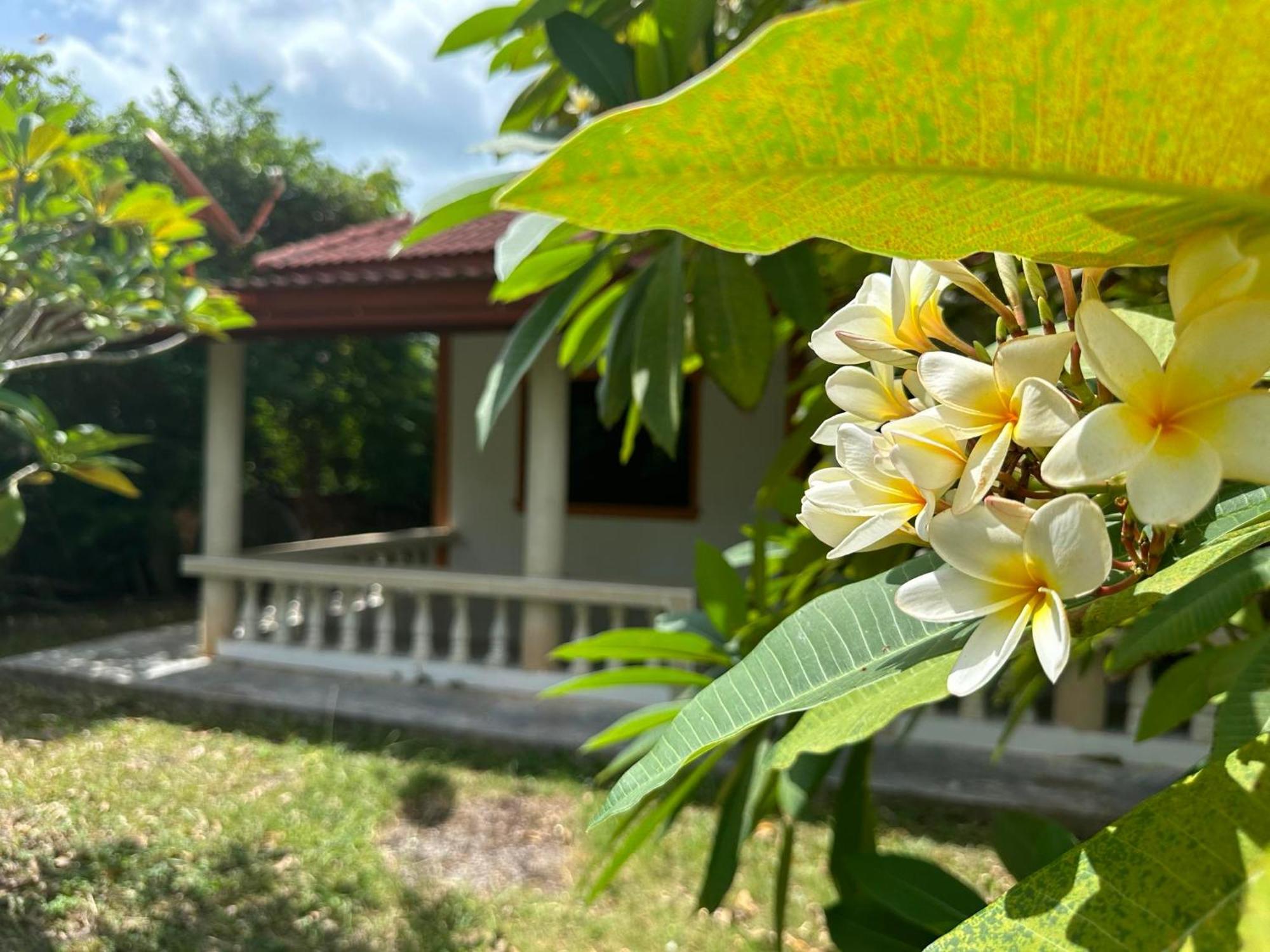 Samui Garden Bang Rak Beach (Koh Samui)