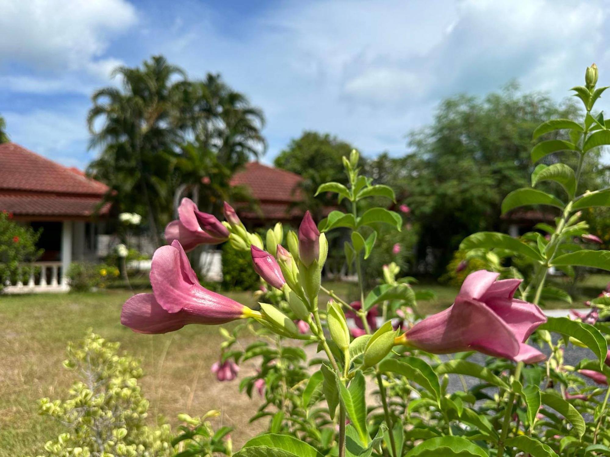 Samui Garden * Bang Rak Beach (Koh Samui)