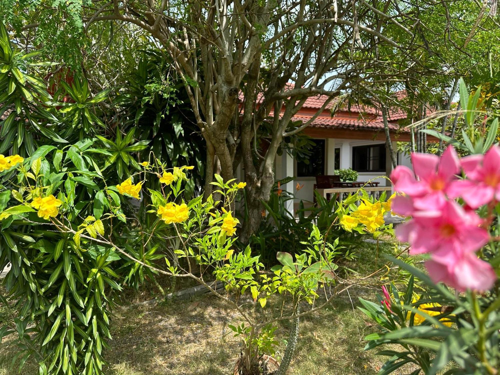 Samui Garden Homestay
