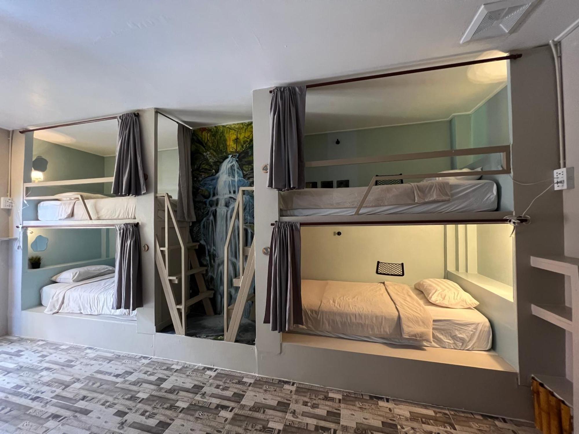 Jungle Guest house *