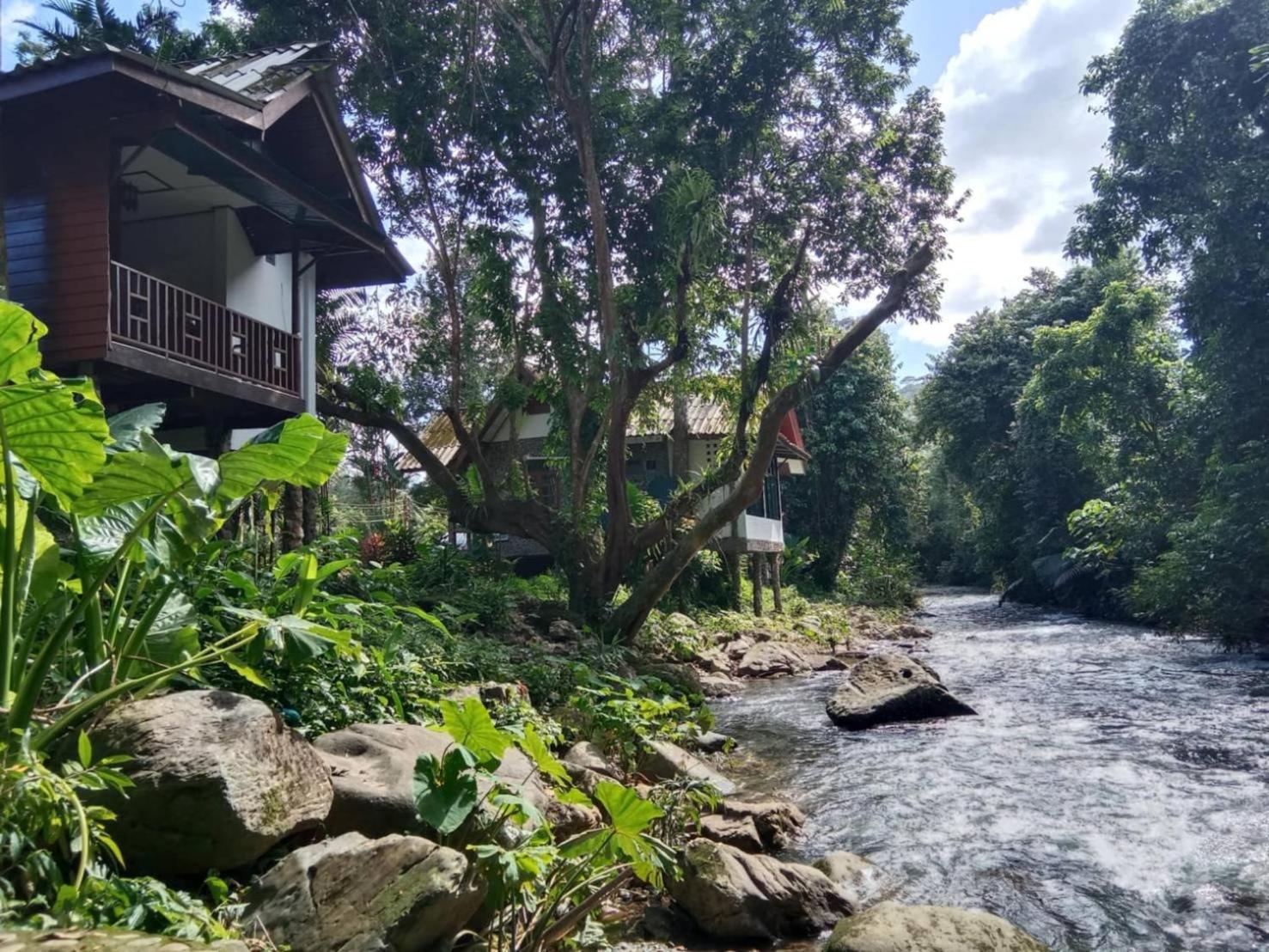 Tree Tops River Huts 2*