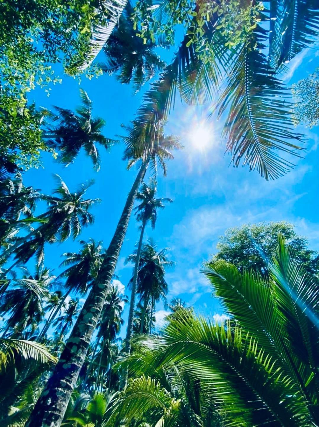 Resort Suan Maprao Ko Kut