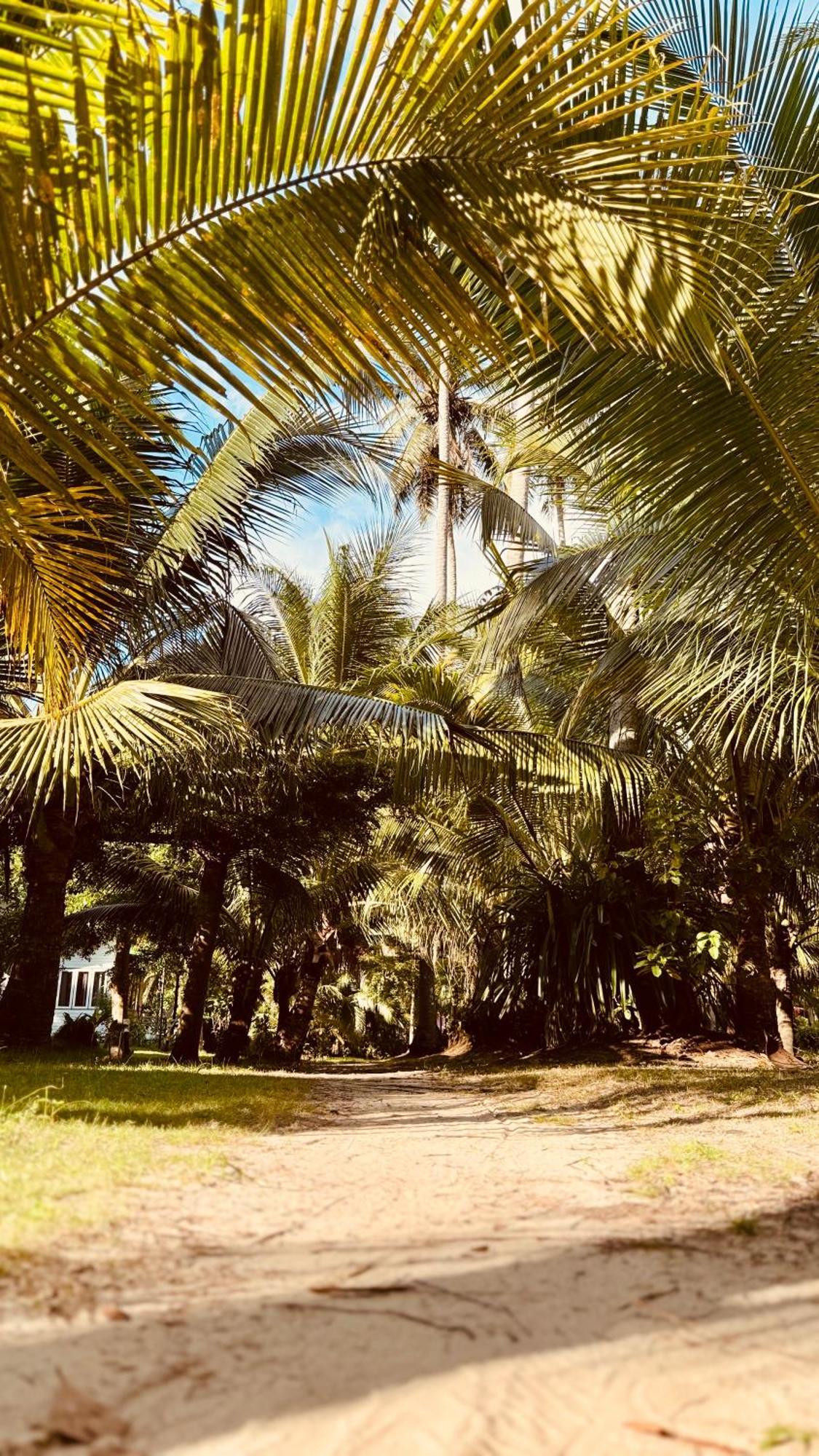 Resort Suan Maprao