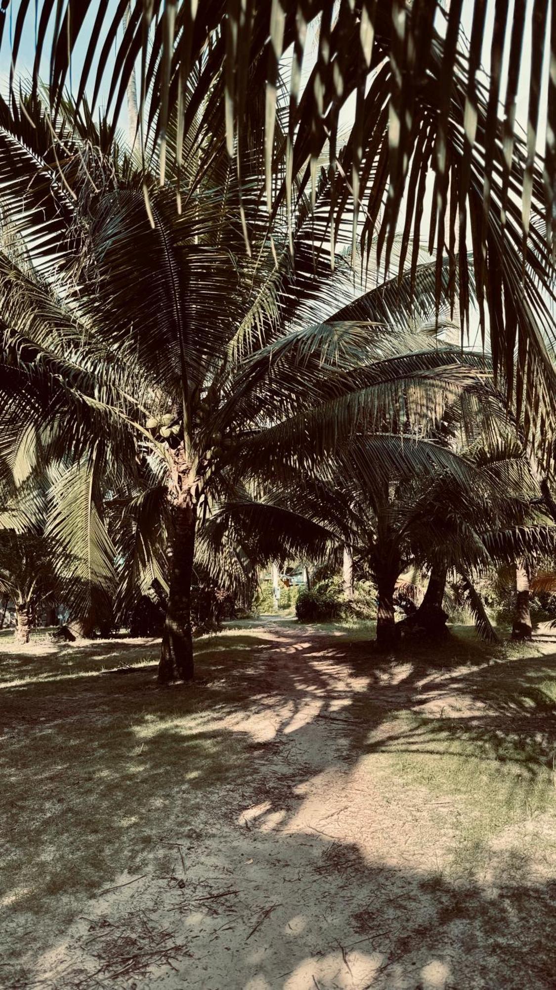 Suan Maprao Resort *
