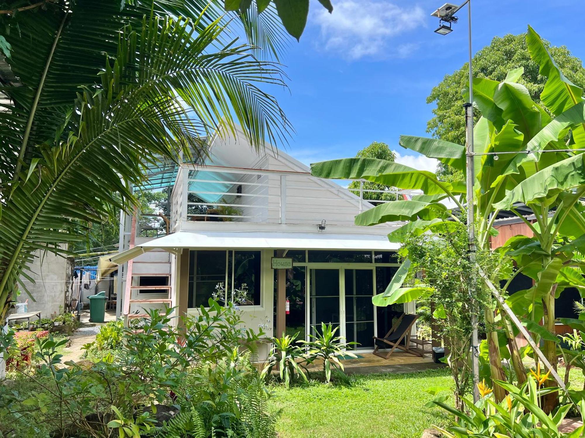 Jungle Guest house