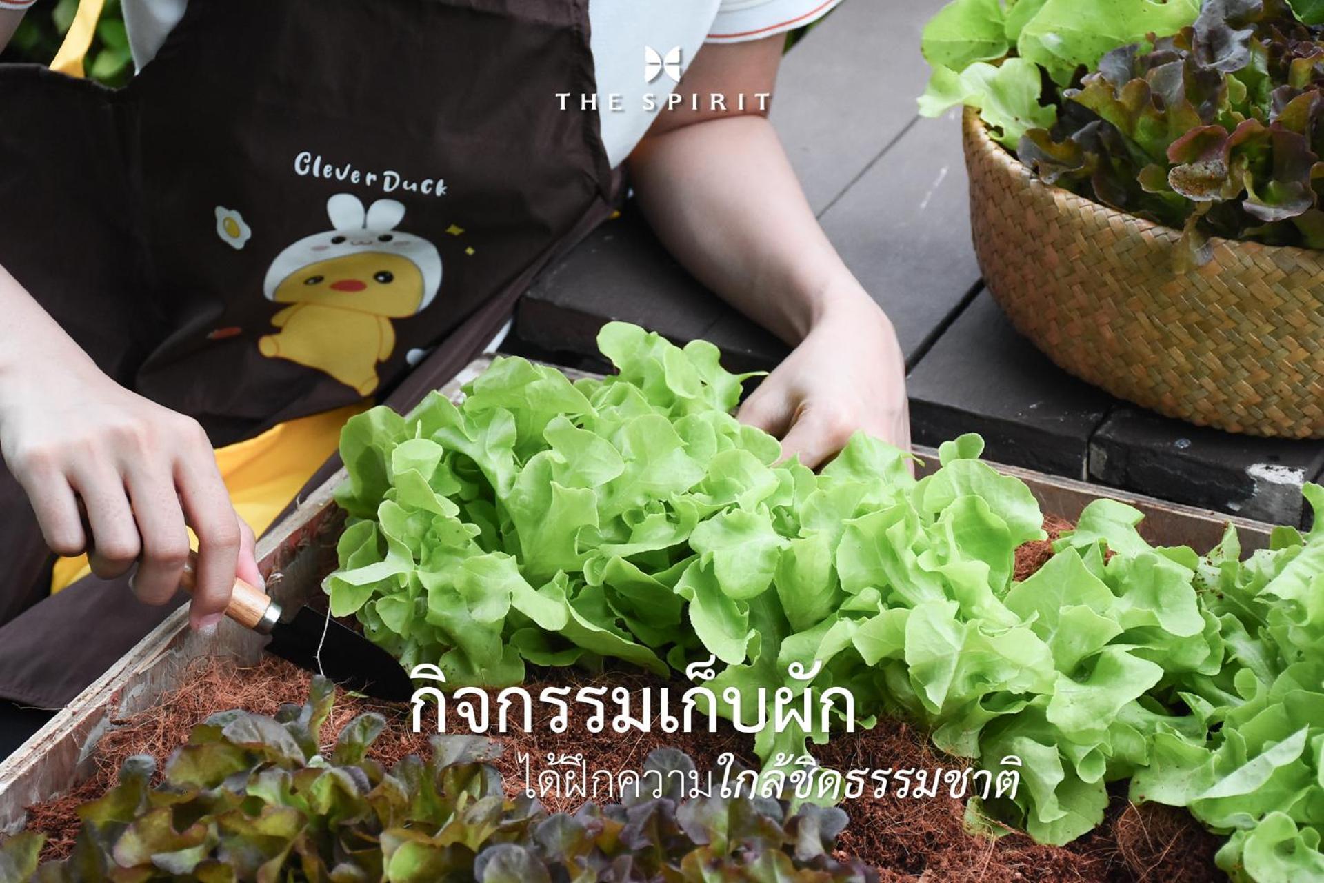Resort The Spirit Hua Hin Khao Tao