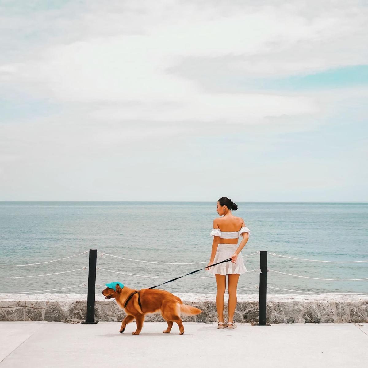 Avani+ Hua Hin Resort Cha-Am