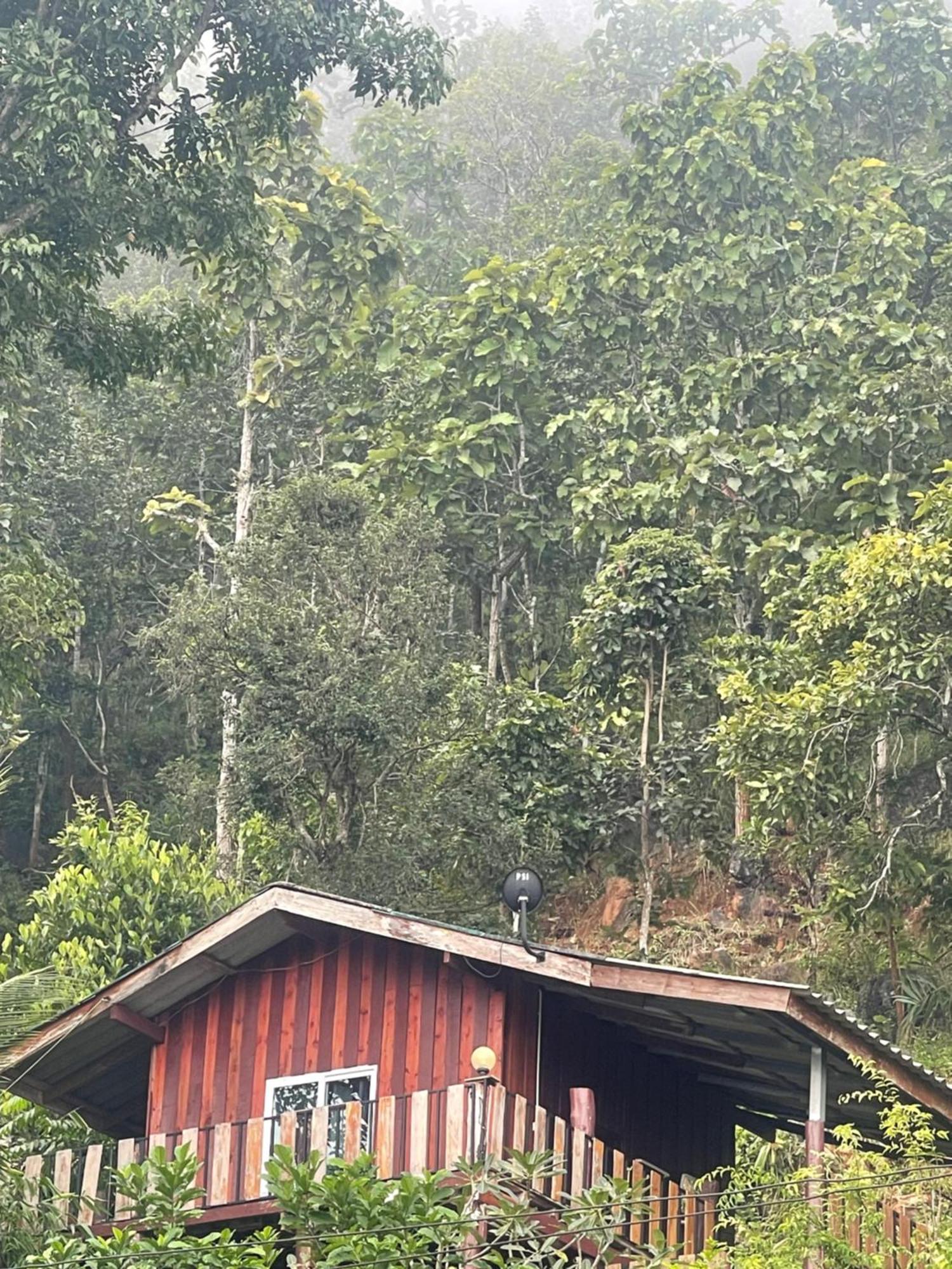 Forest 2* Samoeng