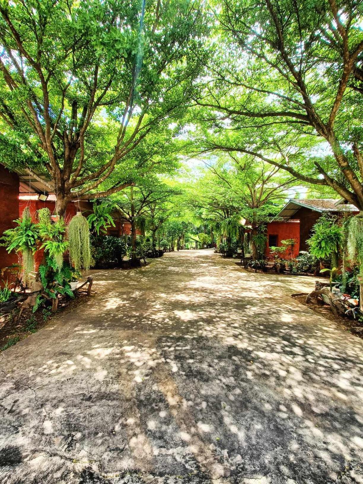 Baandin Rimnum Guest house U Thong