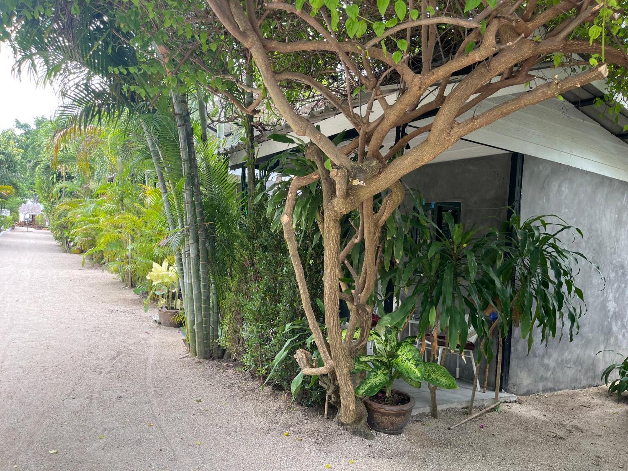 Namthip Homebeach Baan Tai