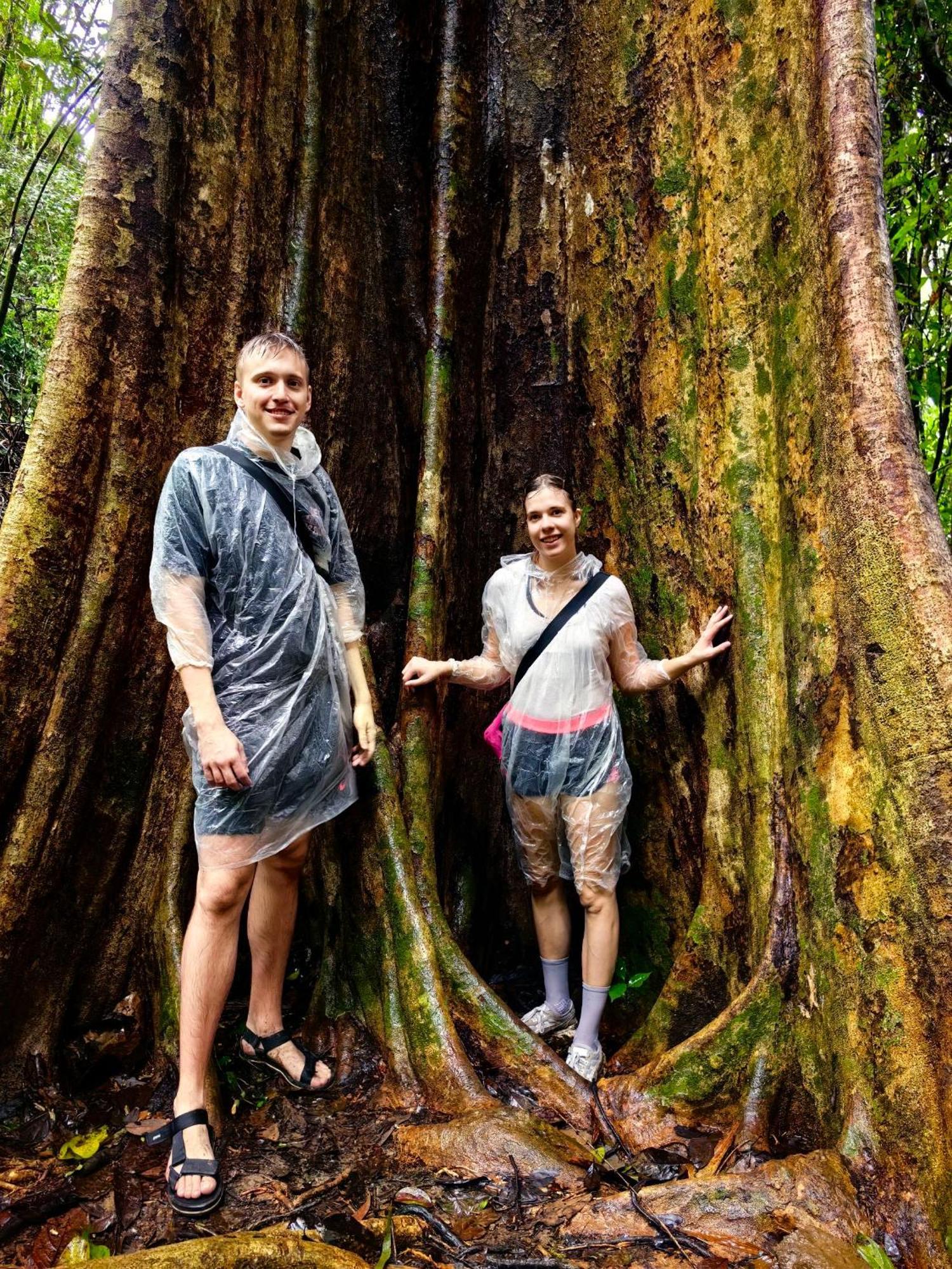 Hotel Khao Sok Country Khao Sok National Park