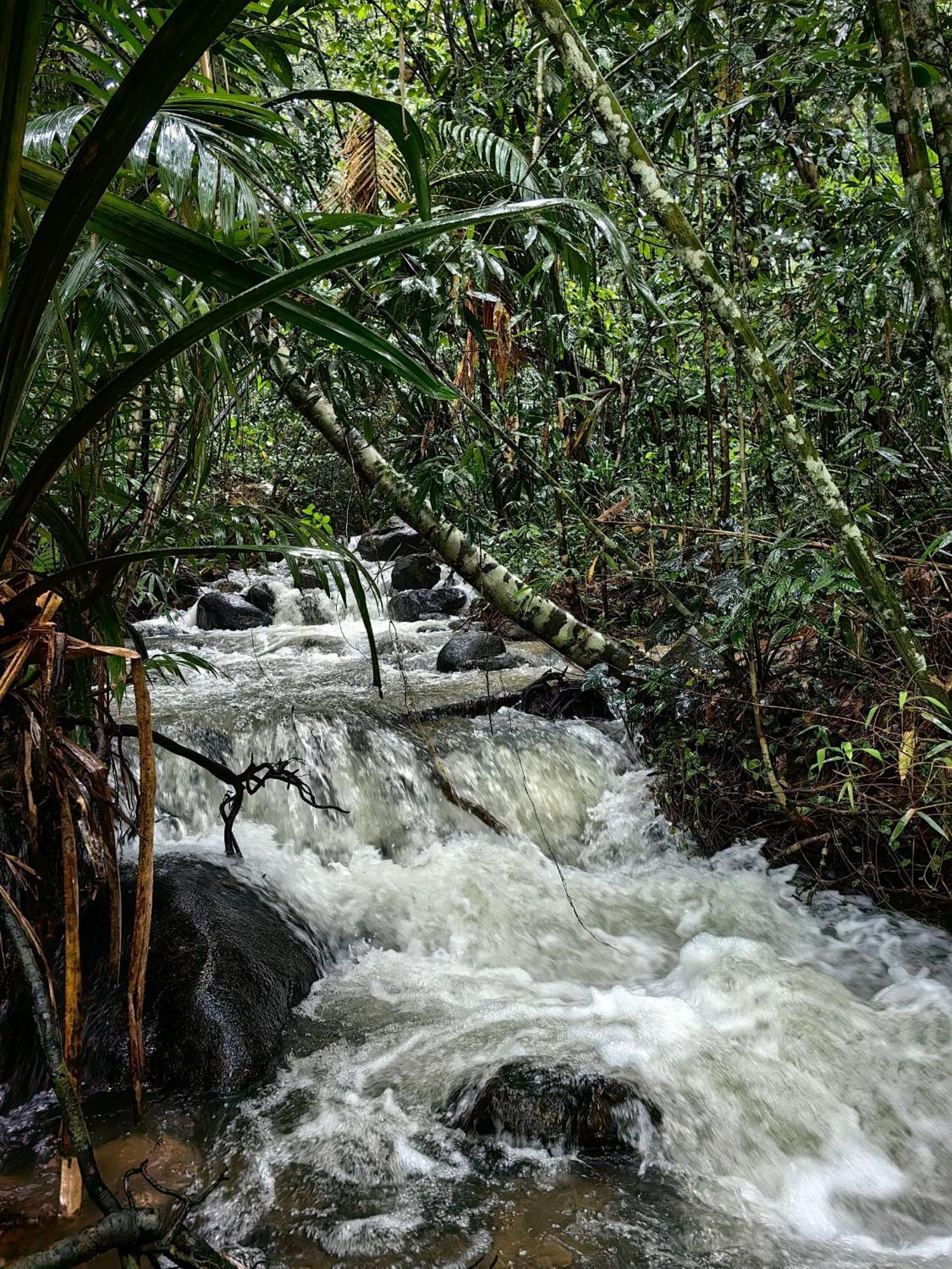 Khao Sok Country 2*