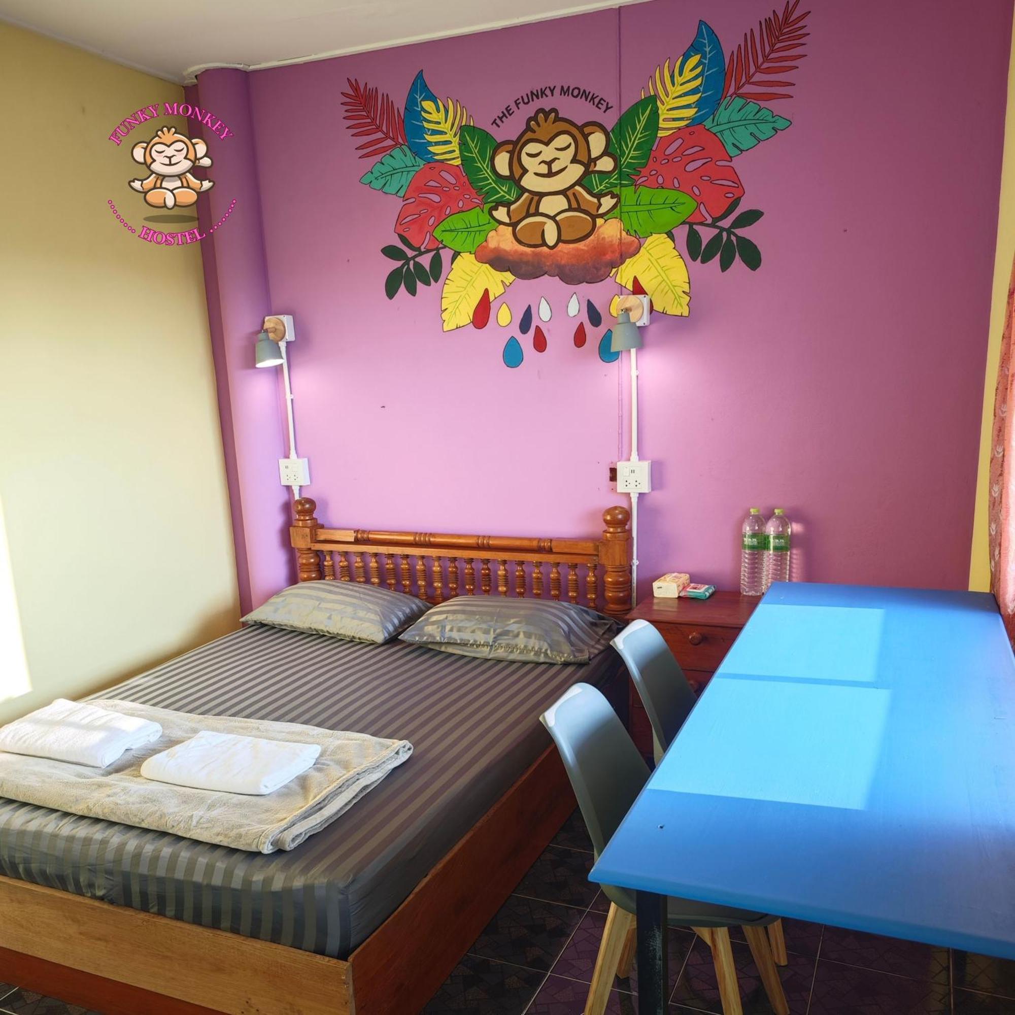 The Funky Monkey - 18 To 40 Years Old Only Hostel