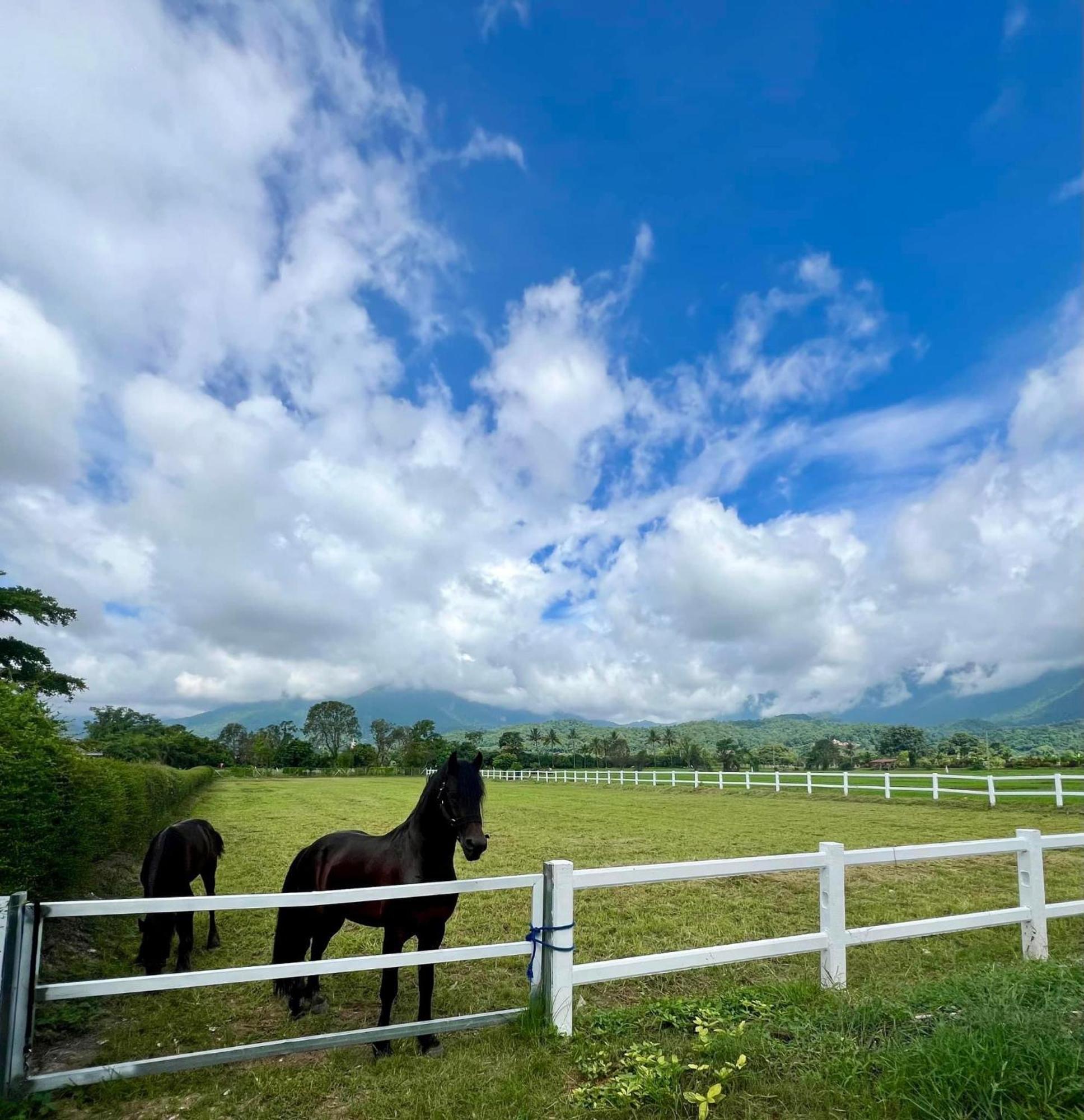 The Wes Village, Incl Free Breakfast & 100 Thb Food Gift Bed & Breakfast 3*