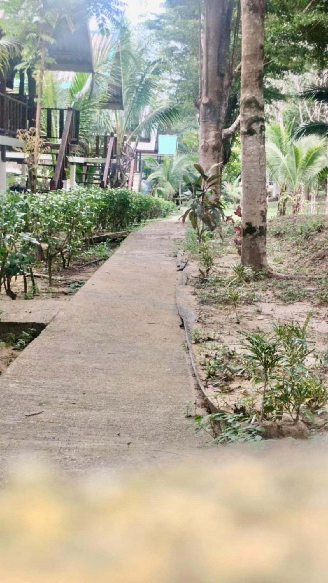 Rasta House,,koh Phayam Guest house 2*