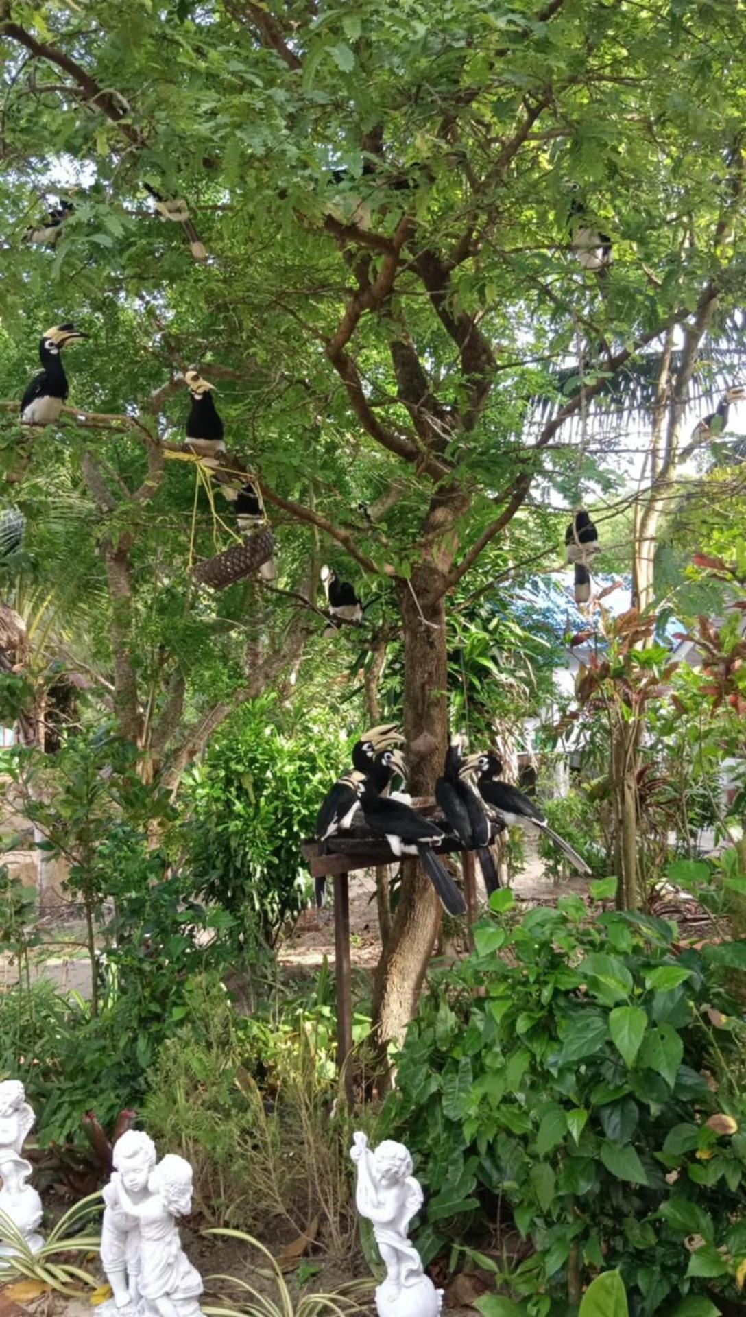 Baan Suan Kayoo 2 Buffalo Bay Aow Khao Kwai *