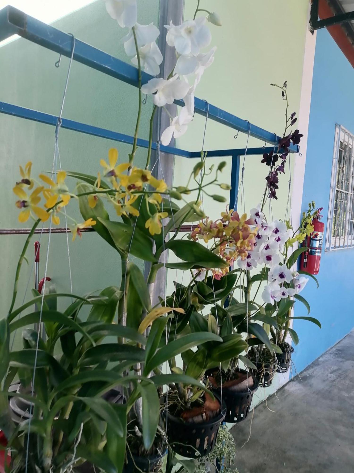 Baan Kaemsai Apartment