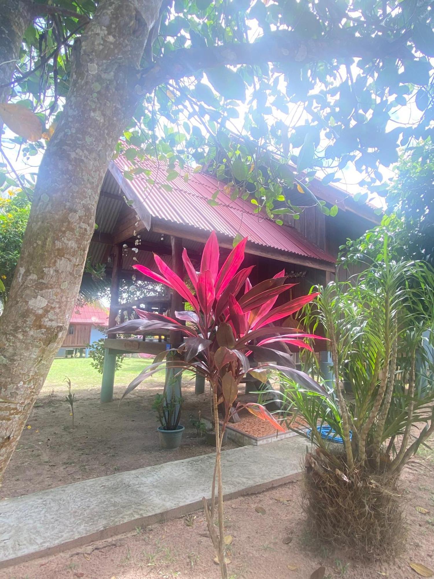 Nadia Kohjum Resort