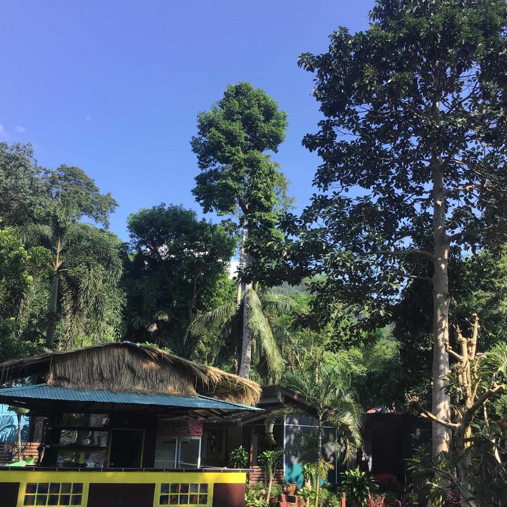 Grand Tree Koh Chang
