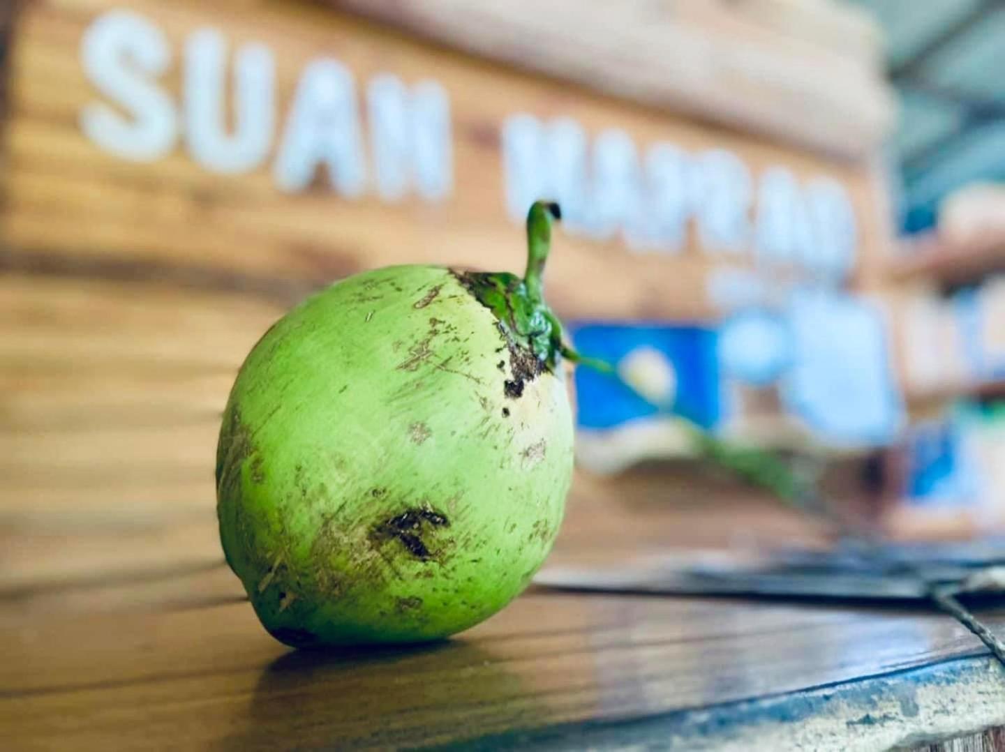 Suan Maprao