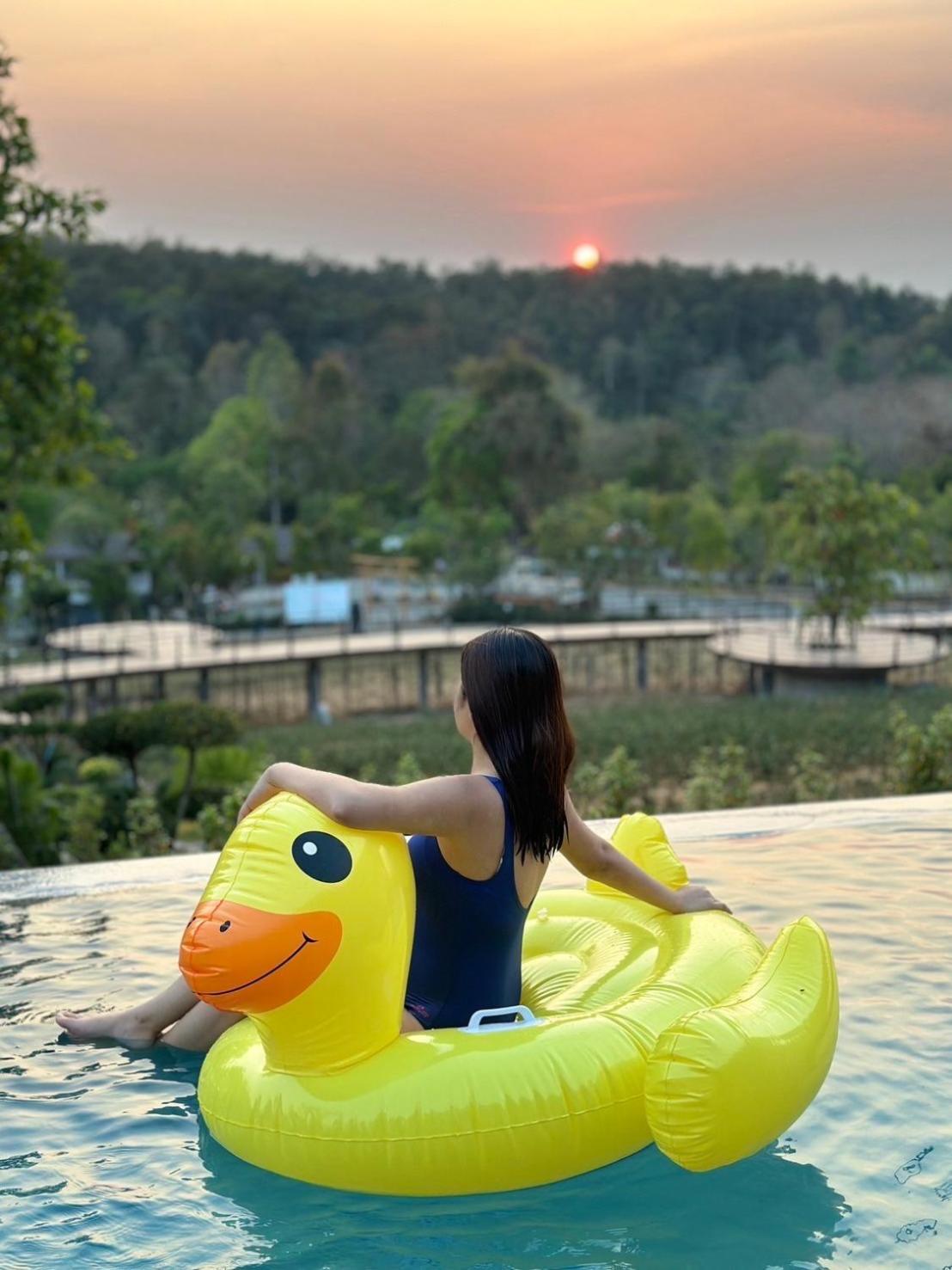 Passa ผัสสะ Tea Plantation @mae On Resort Ban Huai Kaeo