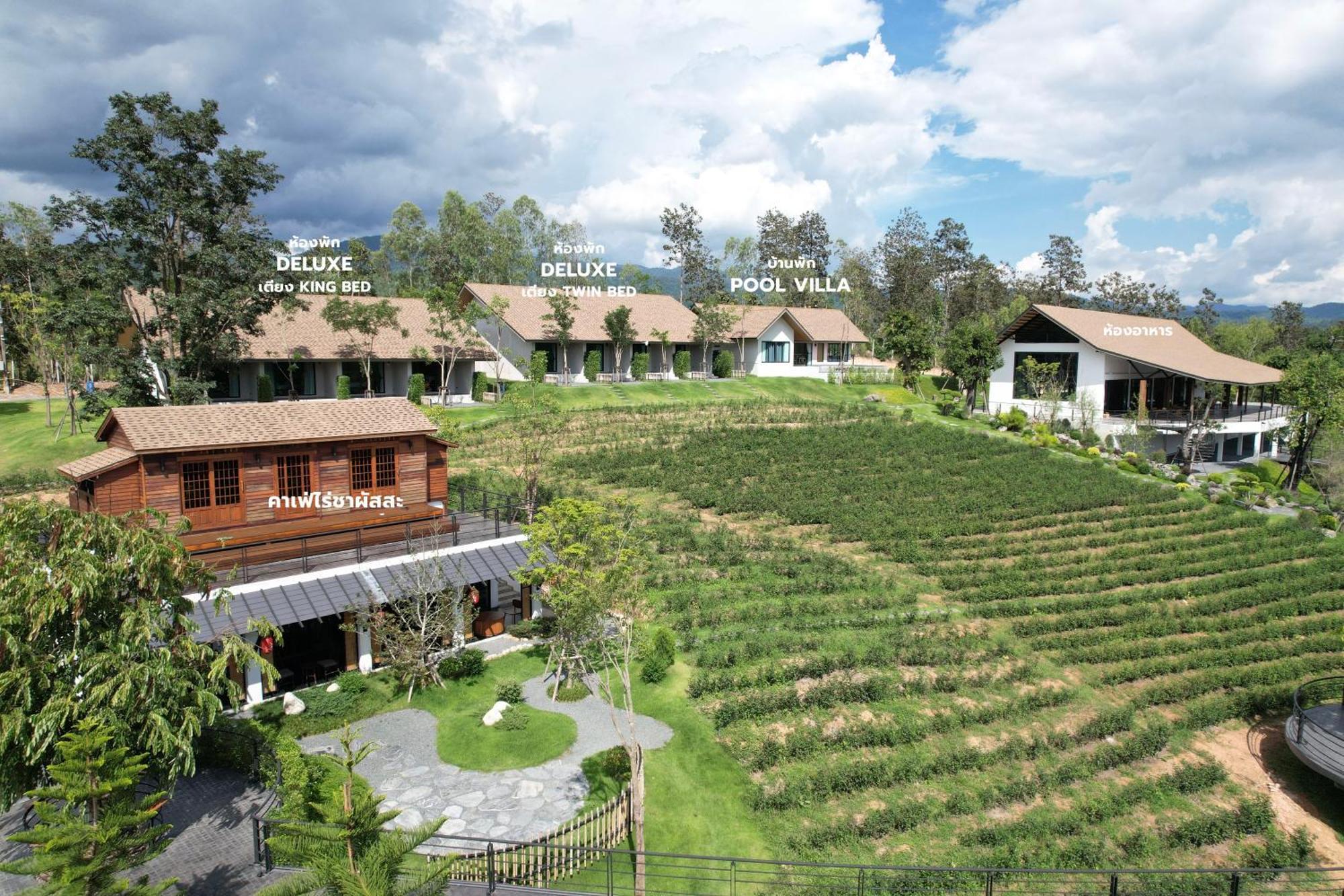 Resort Passa ผัสสะ Tea Plantation @mae On