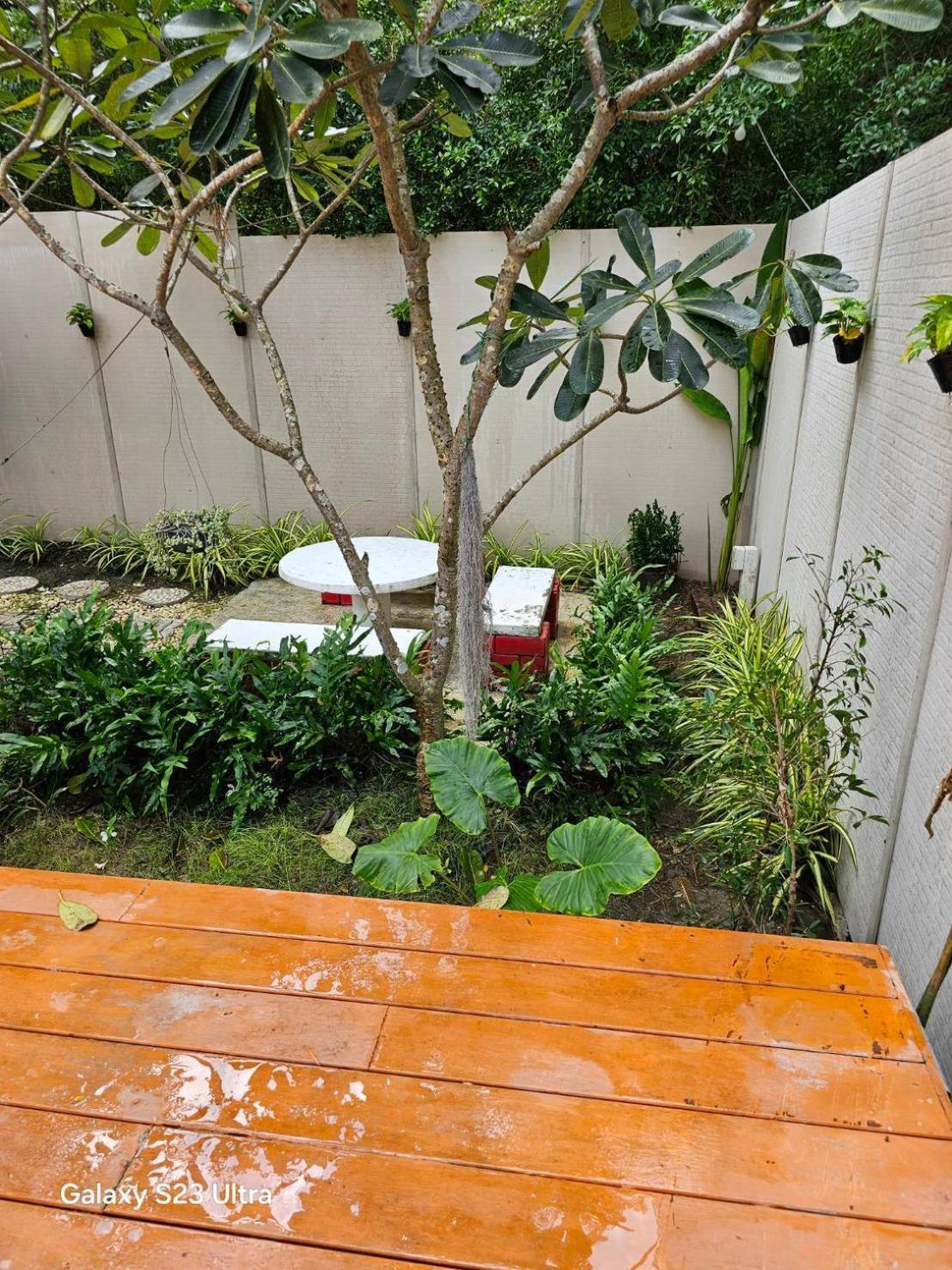 Terrua Main Garden