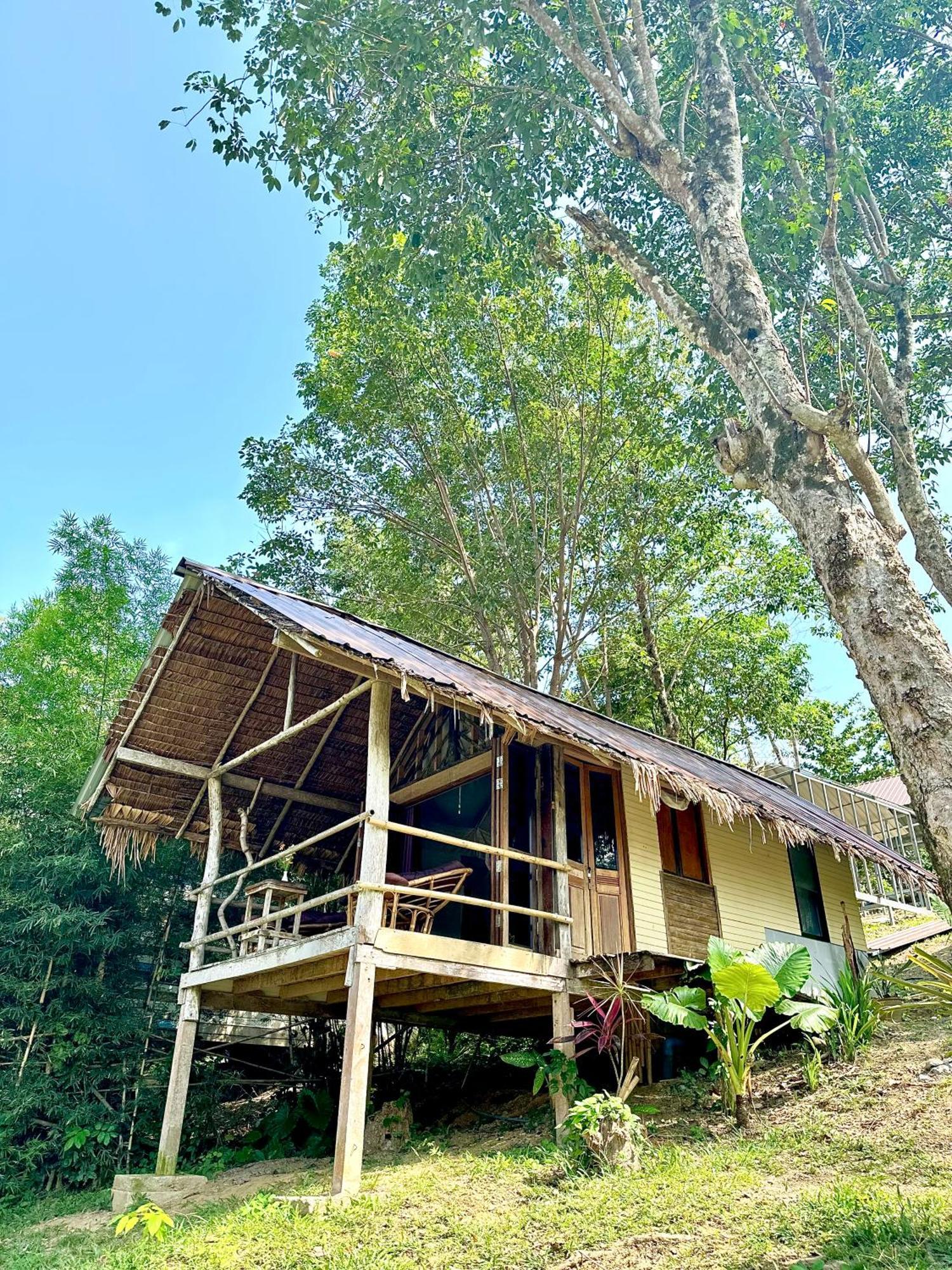 Mountain View Resort *