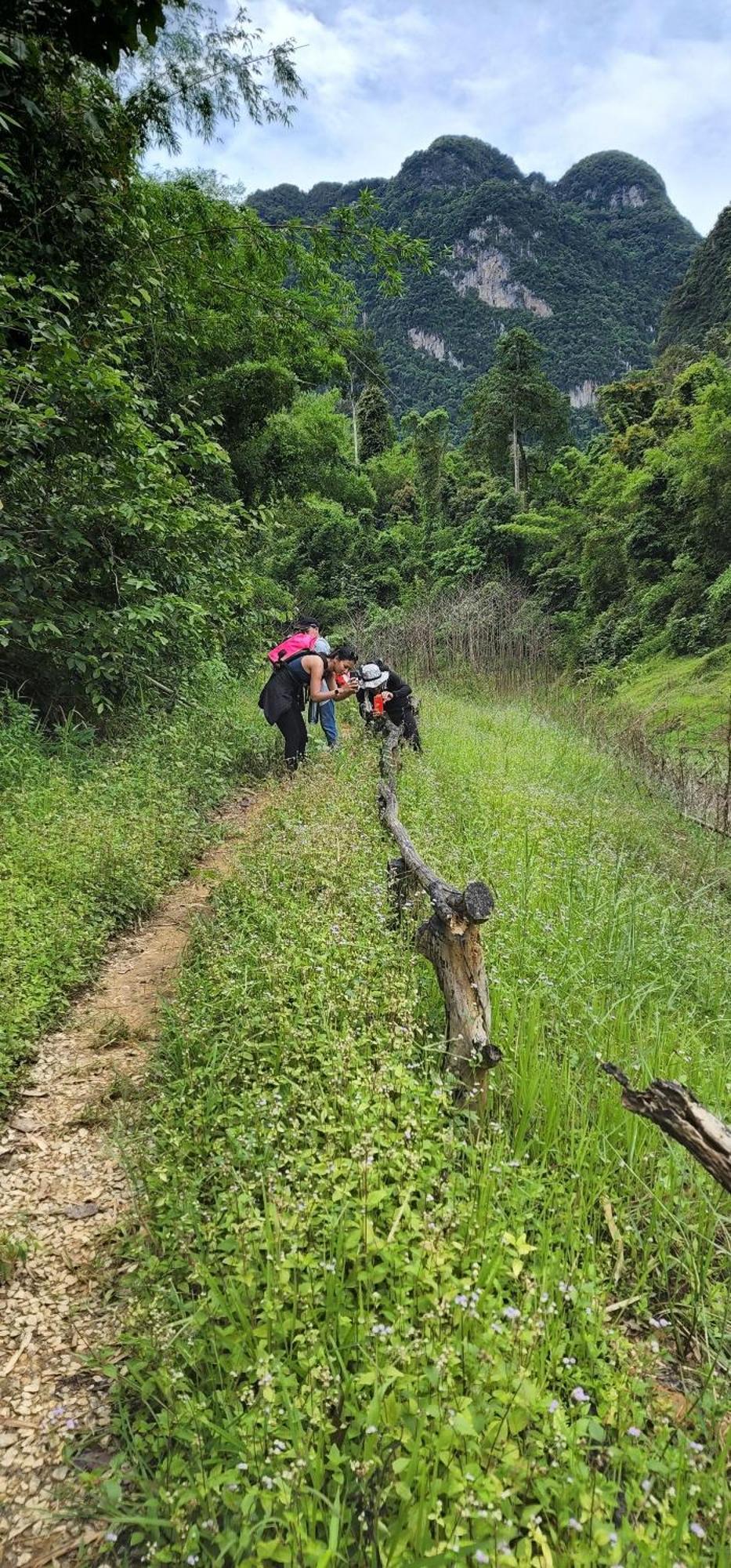 Khaosok Happy House * Khao Sok National Park