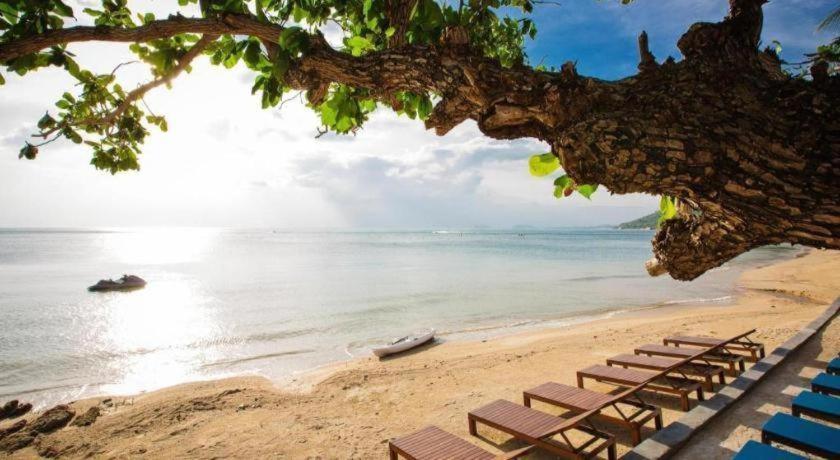 Sunset Beach Club & Spa Resort