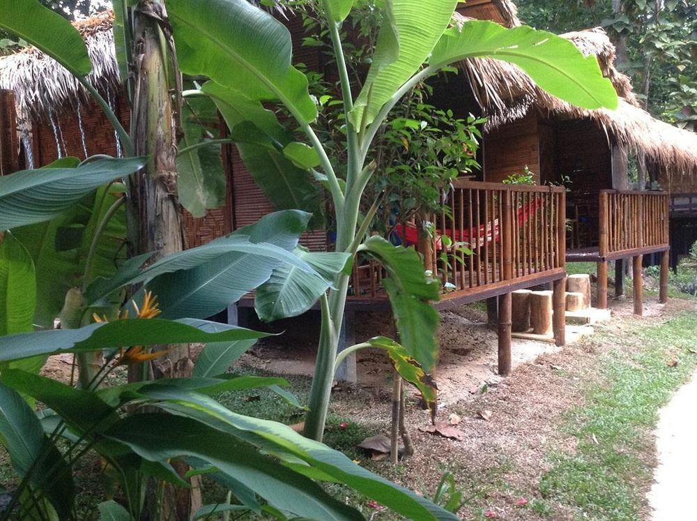 Resort Gecko Koh Lipe