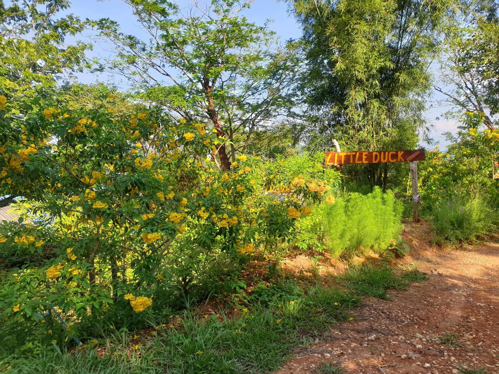Littleduck Holiday home