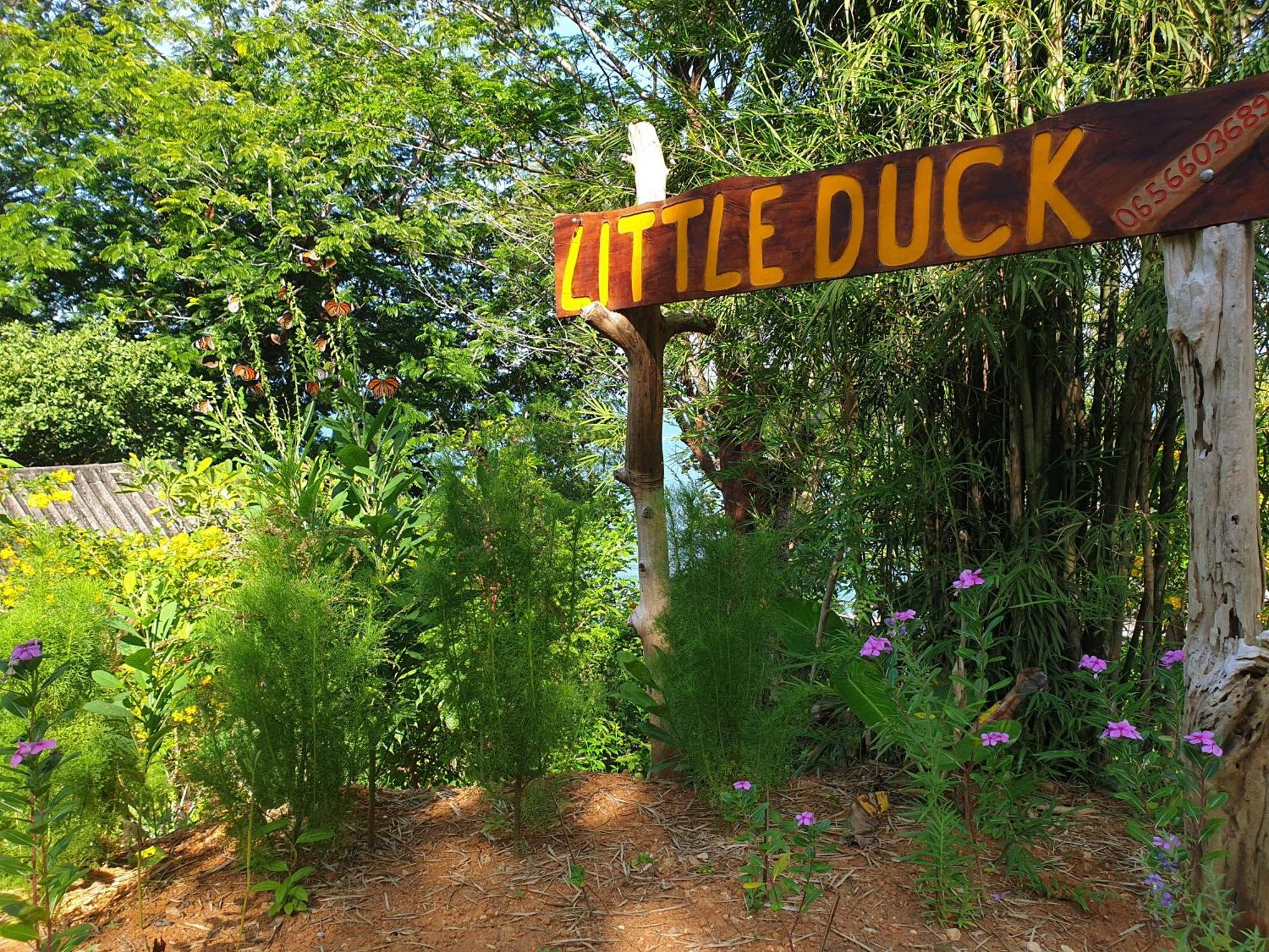 Littleduck Koh Chang Ranong