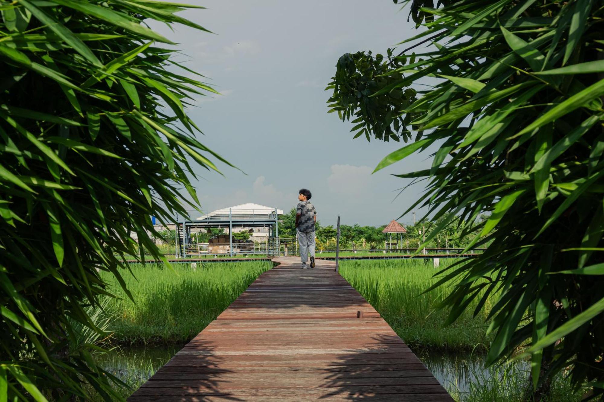 The Cavalli Casa Resort Phra Nakhon Si Ayutthaya