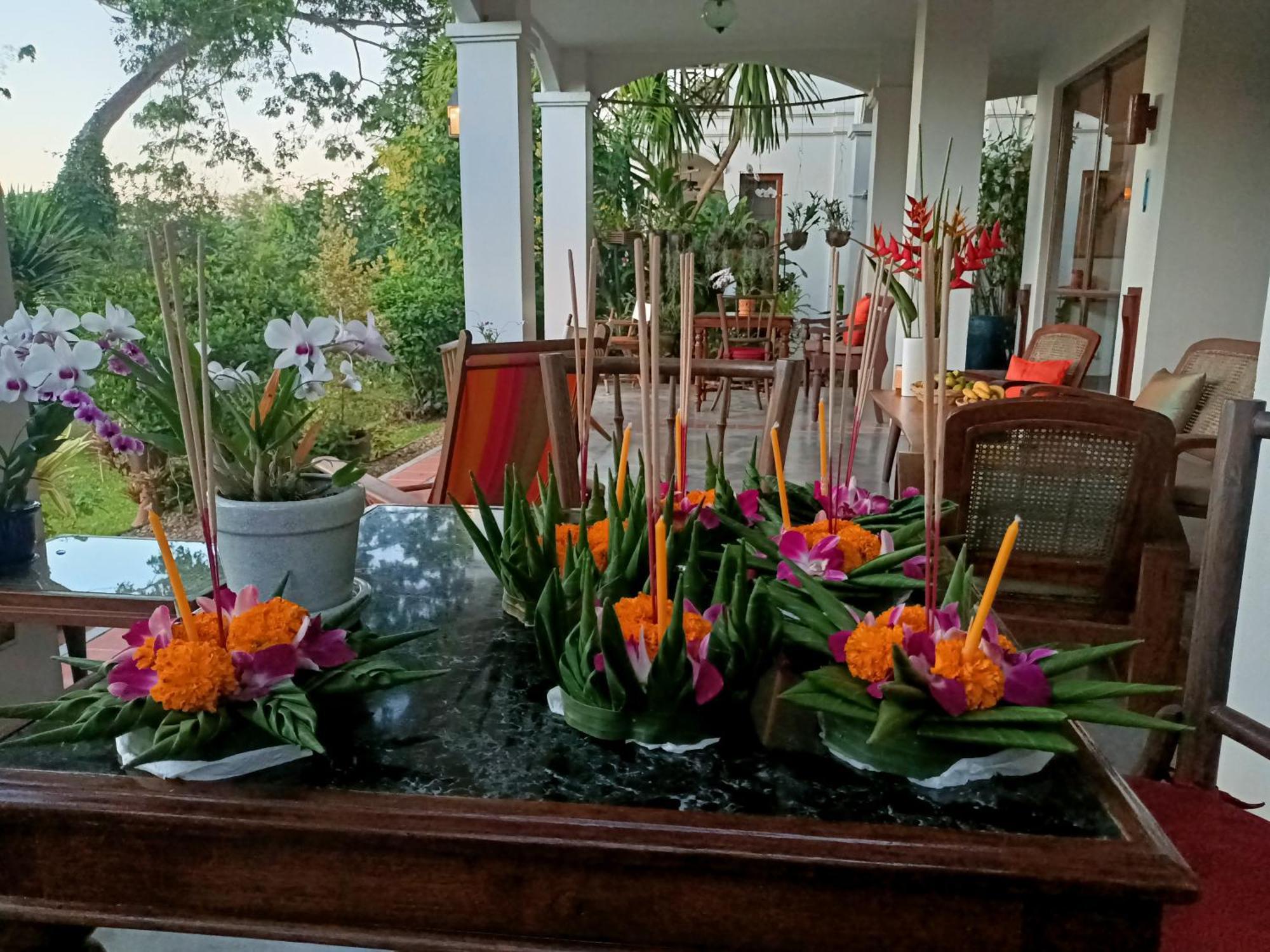 Albizia, Chiang Mai Doi Saket