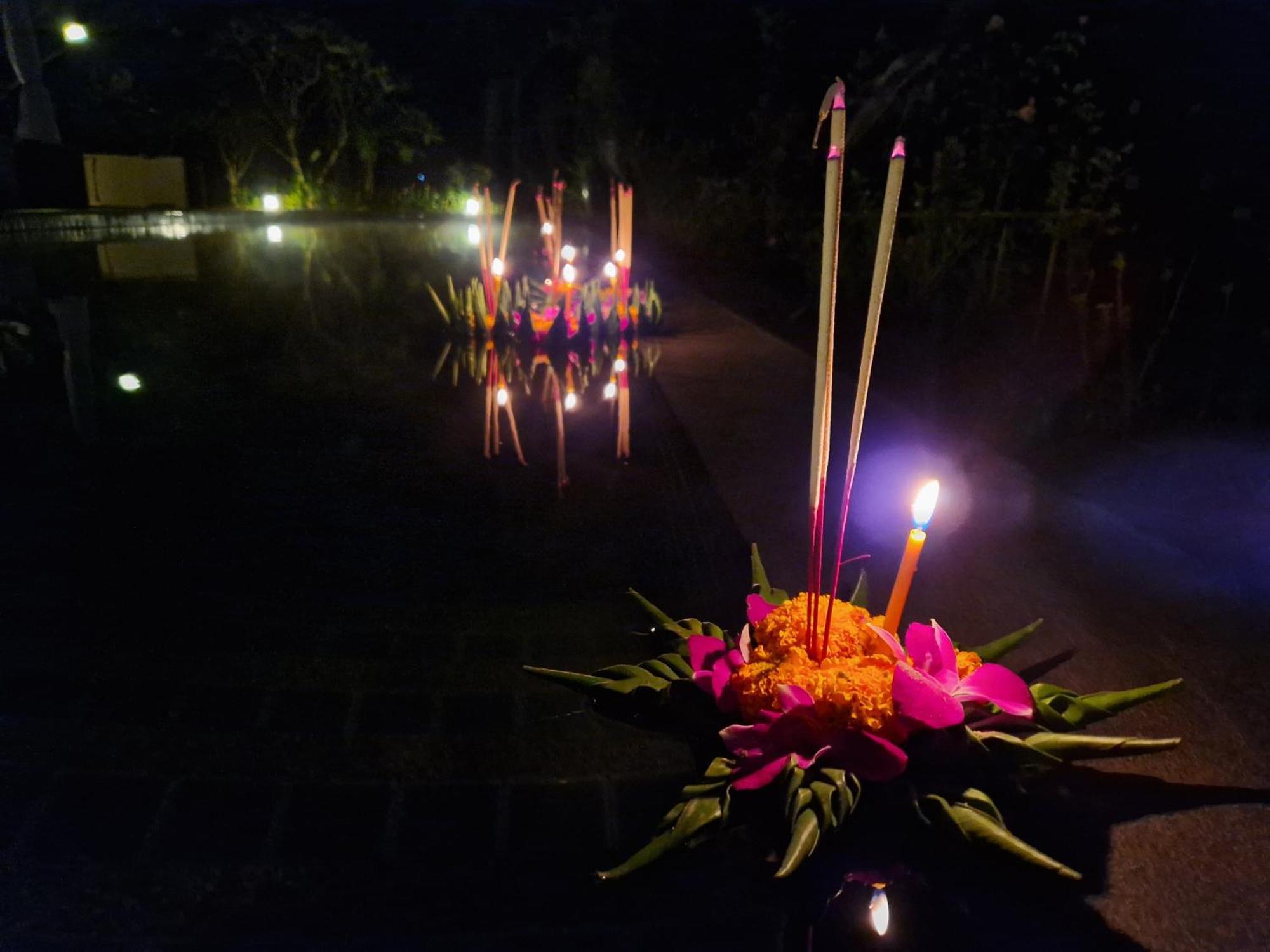 Albizia, Chiang Mai * Doi Saket