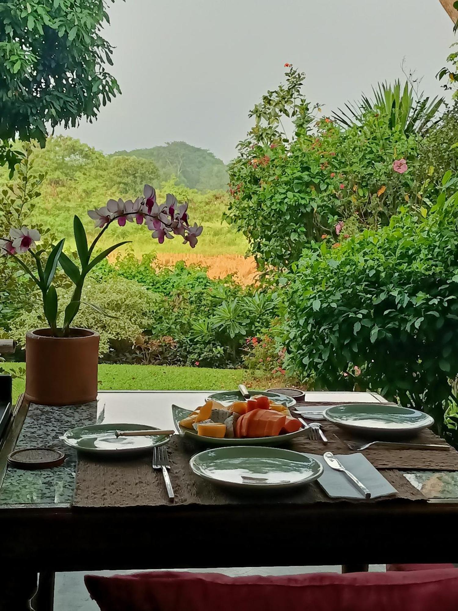 Albizia, Chiang Mai Bed & Breakfast *