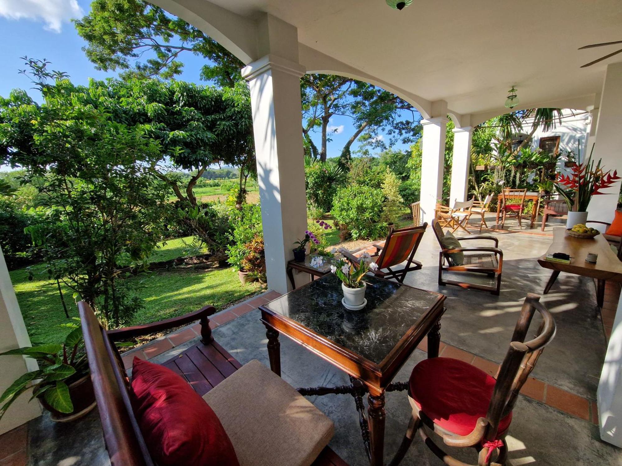 Albizia, Chiang Mai *