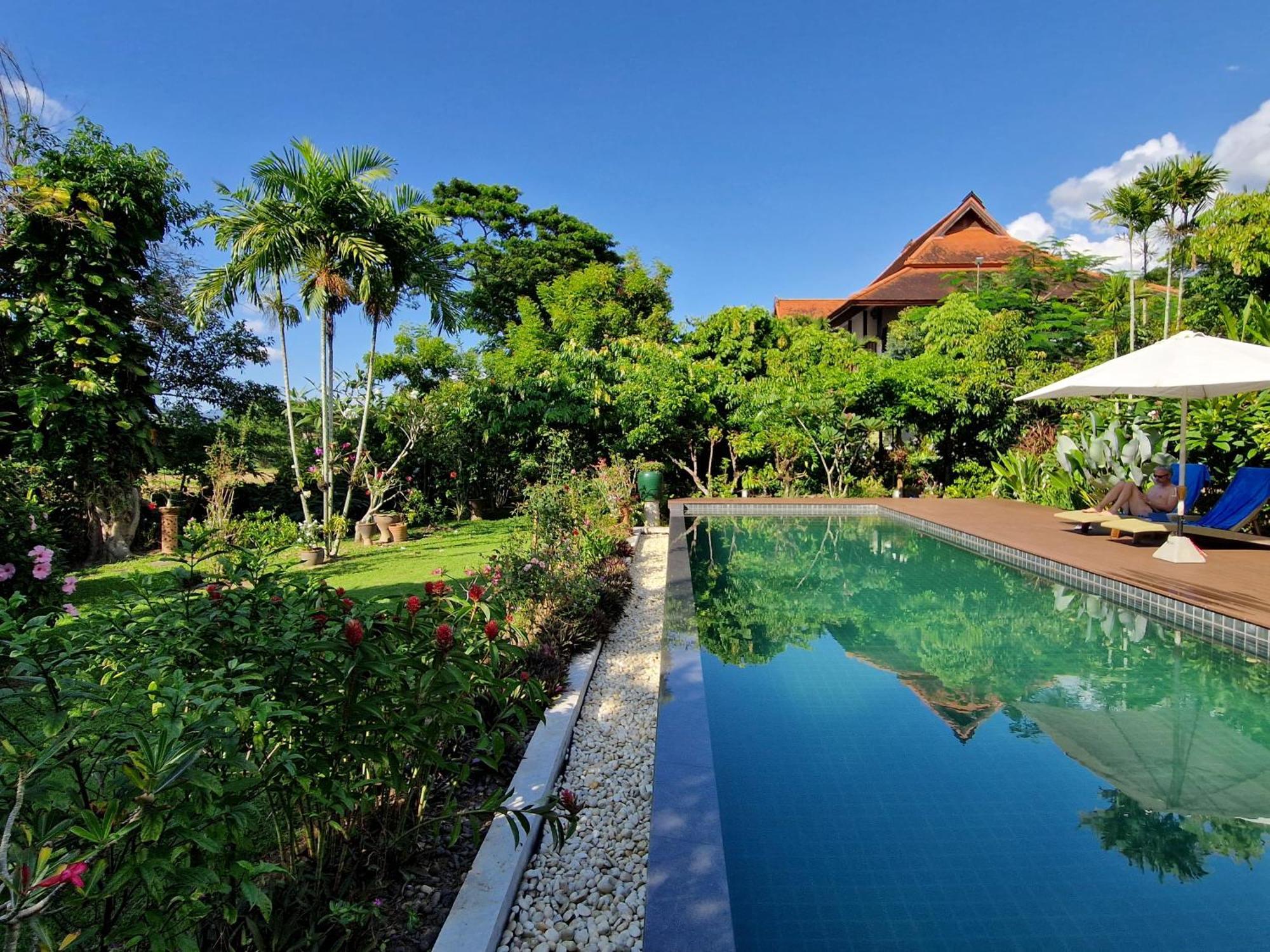 Albizia, Chiang Mai Doi Saket