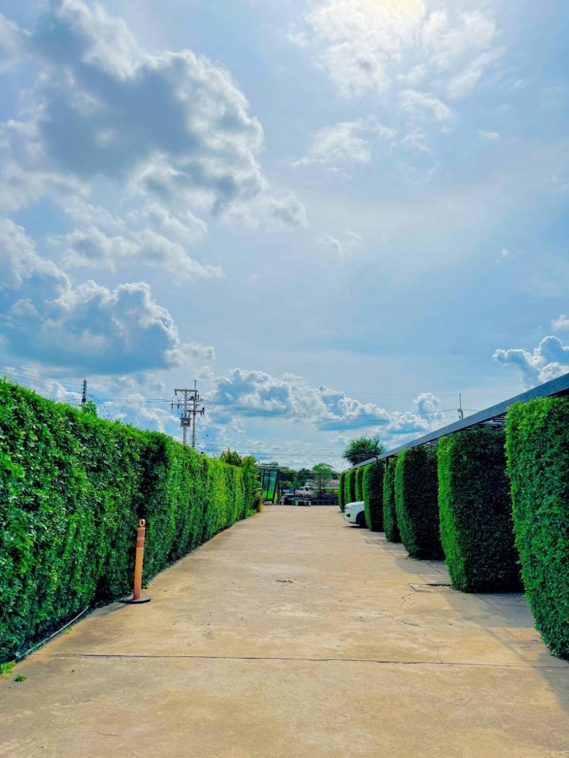 The S24 Resort Buriram