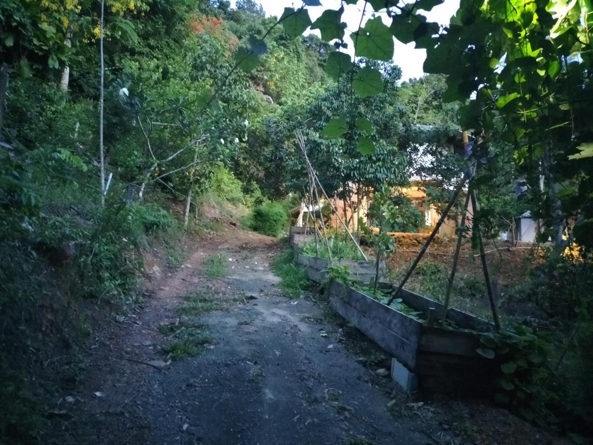 Mountain Jungalows, Koh Chang * Trat