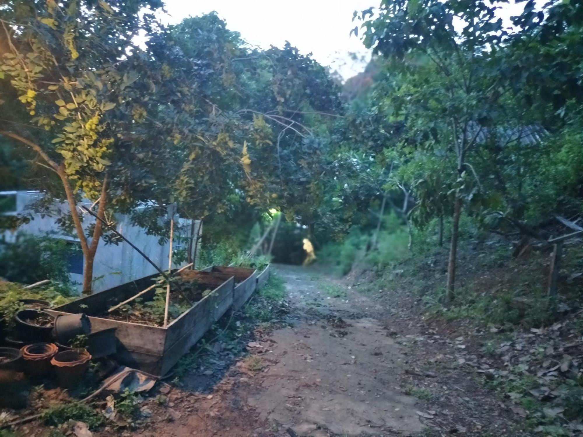 Homestay Mountain Jungalows, Koh Chang *