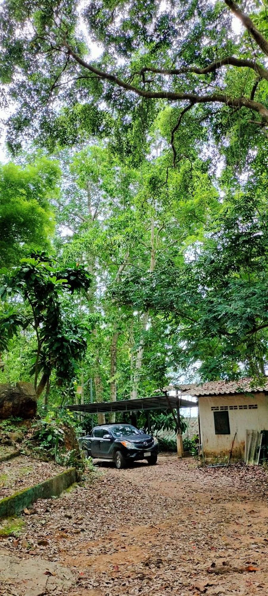 Homestay Mountain Jungalows, Koh Chang